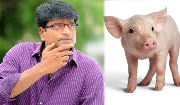 ravi babu,piglet,ravi babu movie  రవిబాబు అండ్ పంది పిల్ల